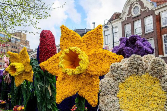 To nejlepší z Amsterdamu + KVĚTINOVÉ KORZO 