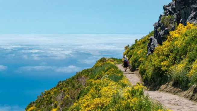 Madeira - turistika přes levády až k oceánu, odlet z Katovic