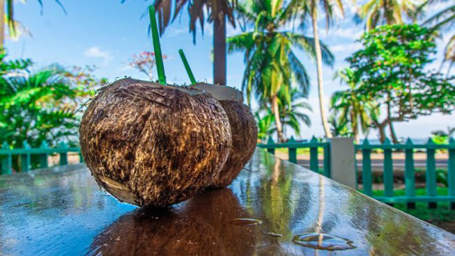 To nejlepší z Kostariky + NÁRODNÍ PARKY + KOUPÁNÍ V KARIBIKU 