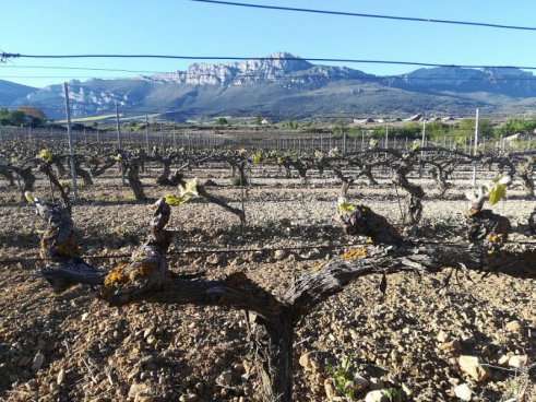 To nejlepší z Bilbaa + STAROBYLÁ VITORIA + GASTRONOMIE A TRADICE BASKŮ 