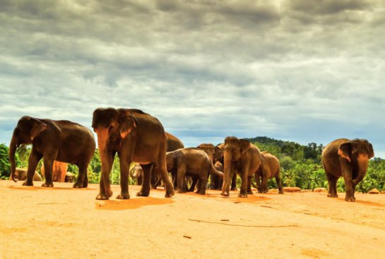 Srí Lanka v duchu Ájurvédy