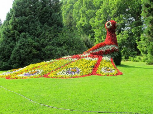 Květinový ostrov Mainau, nejstarší zubačka na Rigi, perly Bodamského jezera