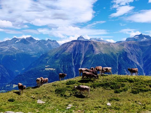 Švýcarské velikány, kanton Ticino, Lago Maggiore