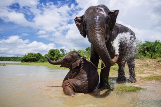 To nejlepší z Nepálu + NÁRODNÍ PARK CHITWAN 