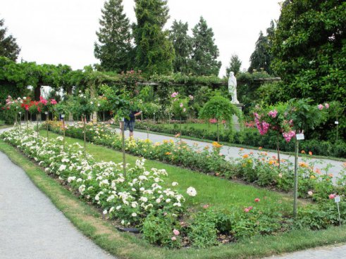 Květinový ostrov Mainau, nejstarší zubačka na Rigi, perly Bodamského jezera