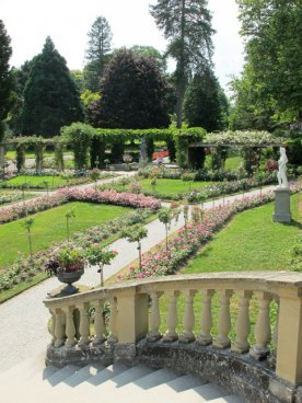 Květinový ostrov Mainau, nejstarší zubačka na Rigi, perly Bodamského jezera