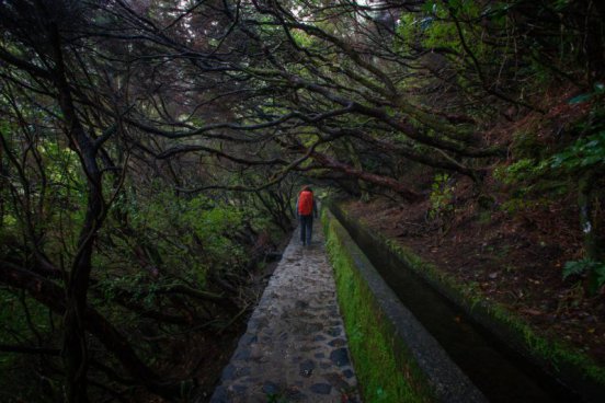 MADEIRA - POHODOVÁ TURISTIKA