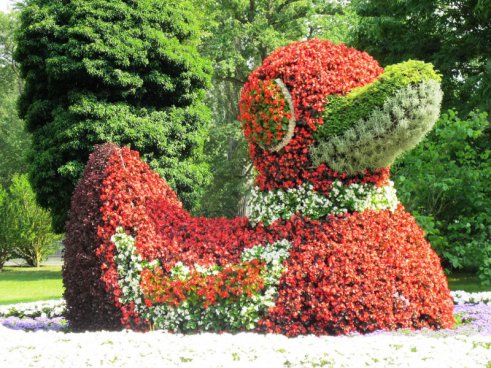 Květinový ostrov Mainau, nejstarší zubačka na Rigi, perly Bodamského jezera