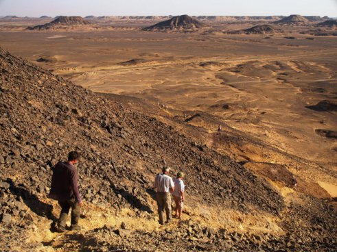 Egypt - oázy Západní pouště