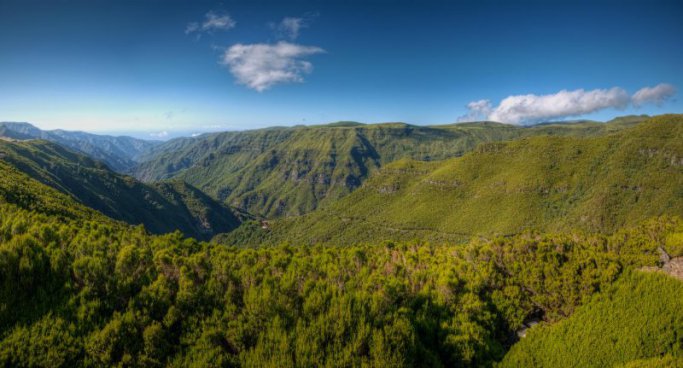 MADEIRA - POHODOVÁ TURISTIKA