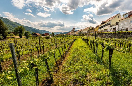 Východní Rakousko + ZÁMEK MAYERLING + ČOKOLÁDOVNA ZOTTER 