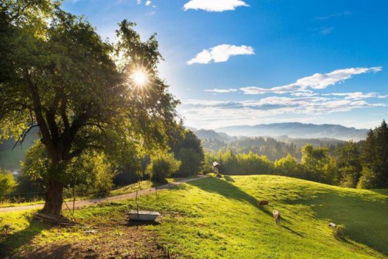 Rodinný balíček v Terme Snovik