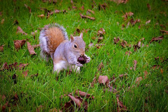 To nejlepší z Londýna + HARRY POTTER + OXFORD 