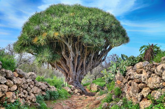 Pěší turistika na ostrově La Palma