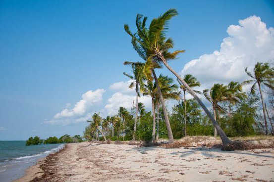 To nejlepší ze Zanzibaru + SAFARI V TANZANII + KOUPÁNÍ V INDICKÉM OCEÁNU 