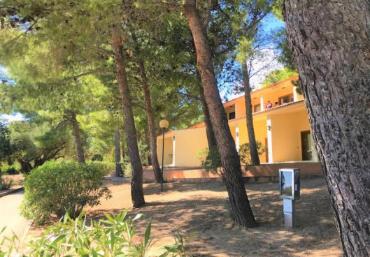 Palmasera Village Resort