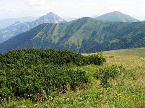 Národní parky Slovenska, památky a termální lázně