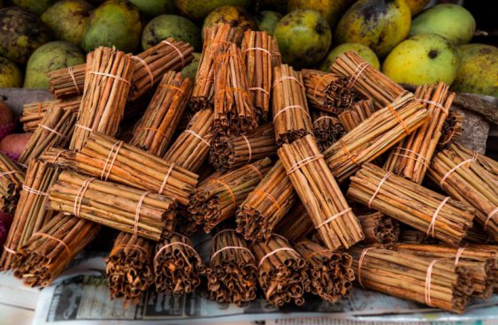 Srí Lanka v duchu Ájurvédy