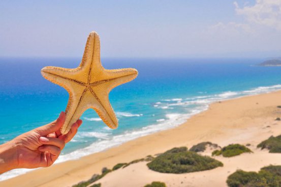 Relax na plážích Severního Kypru + ANTICKÝ SALAMIS + DIVOKÁ PŘÍRODA KARPASU 