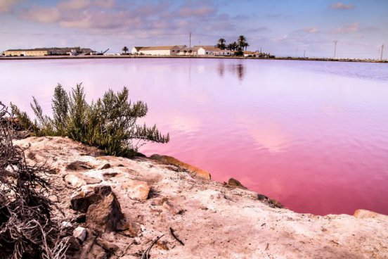 Španělská lázeňská La Manga + CARTAGENA + SPECIALITY LIKÉRKY A RODINNÉ BODEGY 