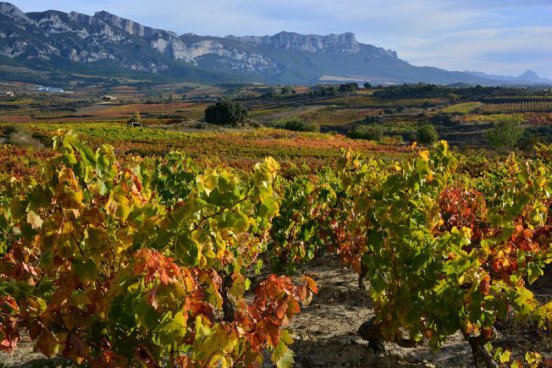 To nejlepší z Bilbaa + STAROBYLÁ VITORIA + GASTRONOMIE A TRADICE BASKŮ 