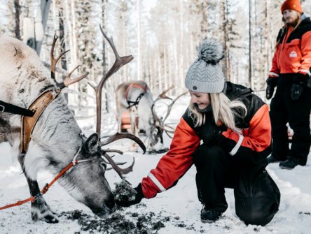 SILVESTR S POLÁRNÍ ZÁŘÍ - FINSKO, LAPONSKO, Levi