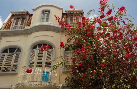 Relax na plážích Martiniku a Guadeloupe + PERLY FRANCOUZSKÝCH ANTIL + KREOLSKÁ K