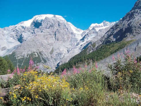 Dolomity - Adamello, Brenta, Presanella