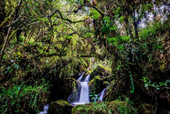 Kolumbie - ztracený ráj, odkud se nebudete chtít vrátit domů