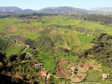 VELIKONOCE V ANDALUSII