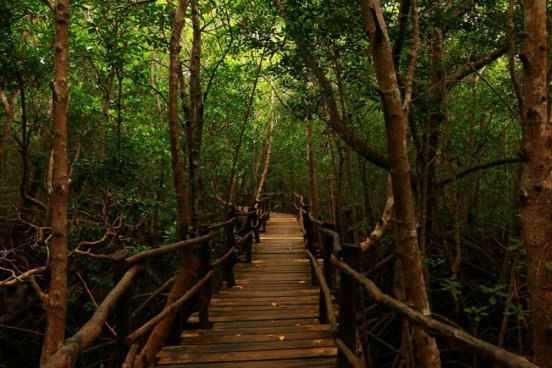 Relax na plážích Zanzibaru + SPICE TOUR + NÁRODNÍ PARK JOZANI 