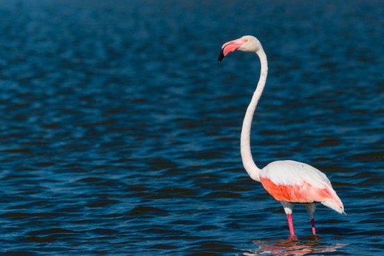 Jóga u laguny Mar Menor