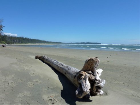 KANADA - ZE SKALNATÝCH HOR K PACIFIKU, podzimní barvy
