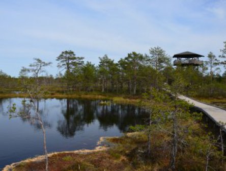 STOCKHOLM, TALLINN, RIGA a národní parky Pobaltí
