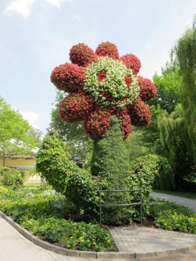 Květinový ostrov Mainau, nejstarší zubačka na Rigi, perly Bodamského jezera