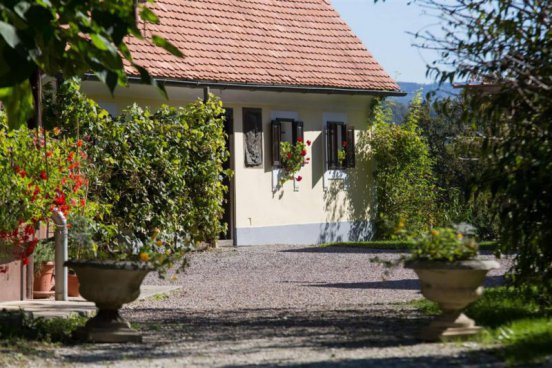 Wellness pobyt s dopravou, polopenzí a ochutnávkou na farmě v ceně v hotelu RimskiZdraviliški Dvor