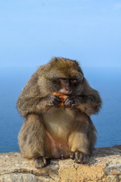 Krásy tajemného Alžírska