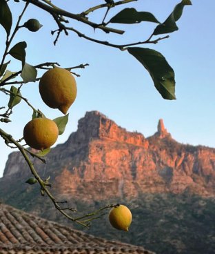 Gran Canaria - ostrov věčnosti
