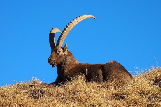 Hory a jezera s wellness hotely