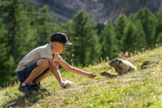 Švýcarské velehory, svišti i ledovce se vstupy v ceně