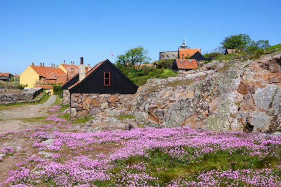 NEWFOUNDLAND – bájný vikingský Vinland 