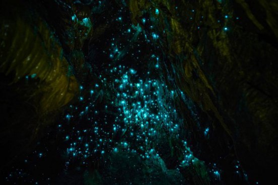 Nový Zéland - Výprava do Středozemě