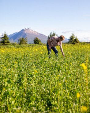 Fascinující cesta za zatměním Slunce a poznáním Islandu 
