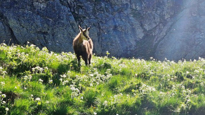 Národní parky Tatry a Pieniny z polské i slovenské strany – LUX