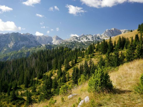 ČERNÁ HORA - ROADTRIP ZA KRÁSAMI PŘÍRODY