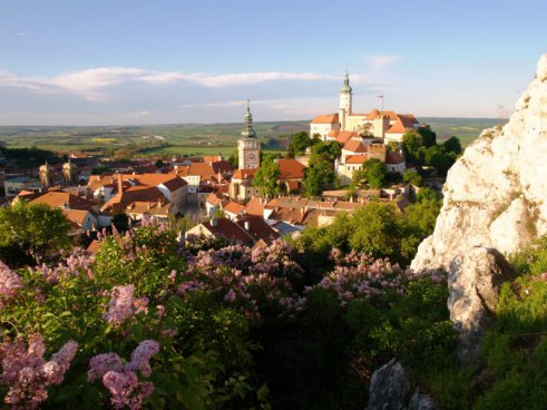 NP Jižní Moravy a Alpy