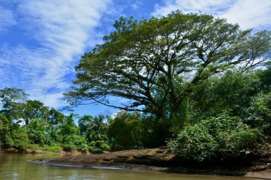 To nejlepší z Kostariky + NÁRODNÍ PARKY + KOUPÁNÍ V KARIBIKU 