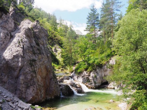 NP Jižní Moravy a Alpy