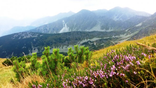 NP Malá Fatra a Západní Tatry ze slovenské i polské strany