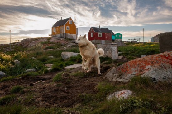 Poznávací zájezd Grónsko - Dobrodružství mezi ledovými obry